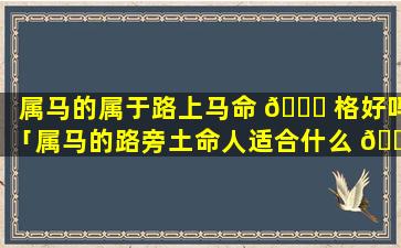 属马的属于路上马命 🕊 格好吗「属马的路旁土命人适合什么 🐡 职业」